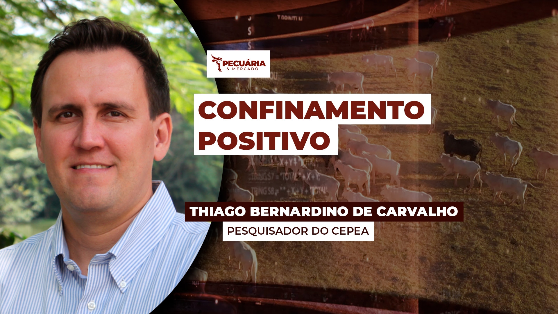 Rentabilidade do confinamento é positiva e varia entre 7% e 10% nos estados do PR,GO,SP e MS