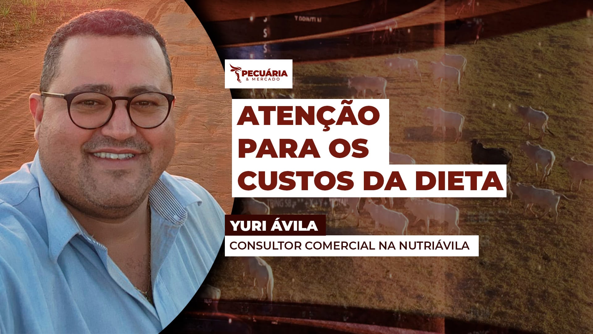 Como fica a relação de troca da pecuária com insumos como milho, farelo de soja, DDG e caroço de algodão