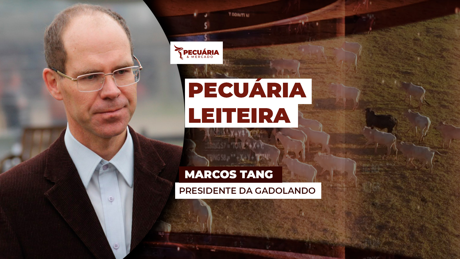 Endividamento e queda nos preços do leite ao produtor por longo período deixam setor em alerta