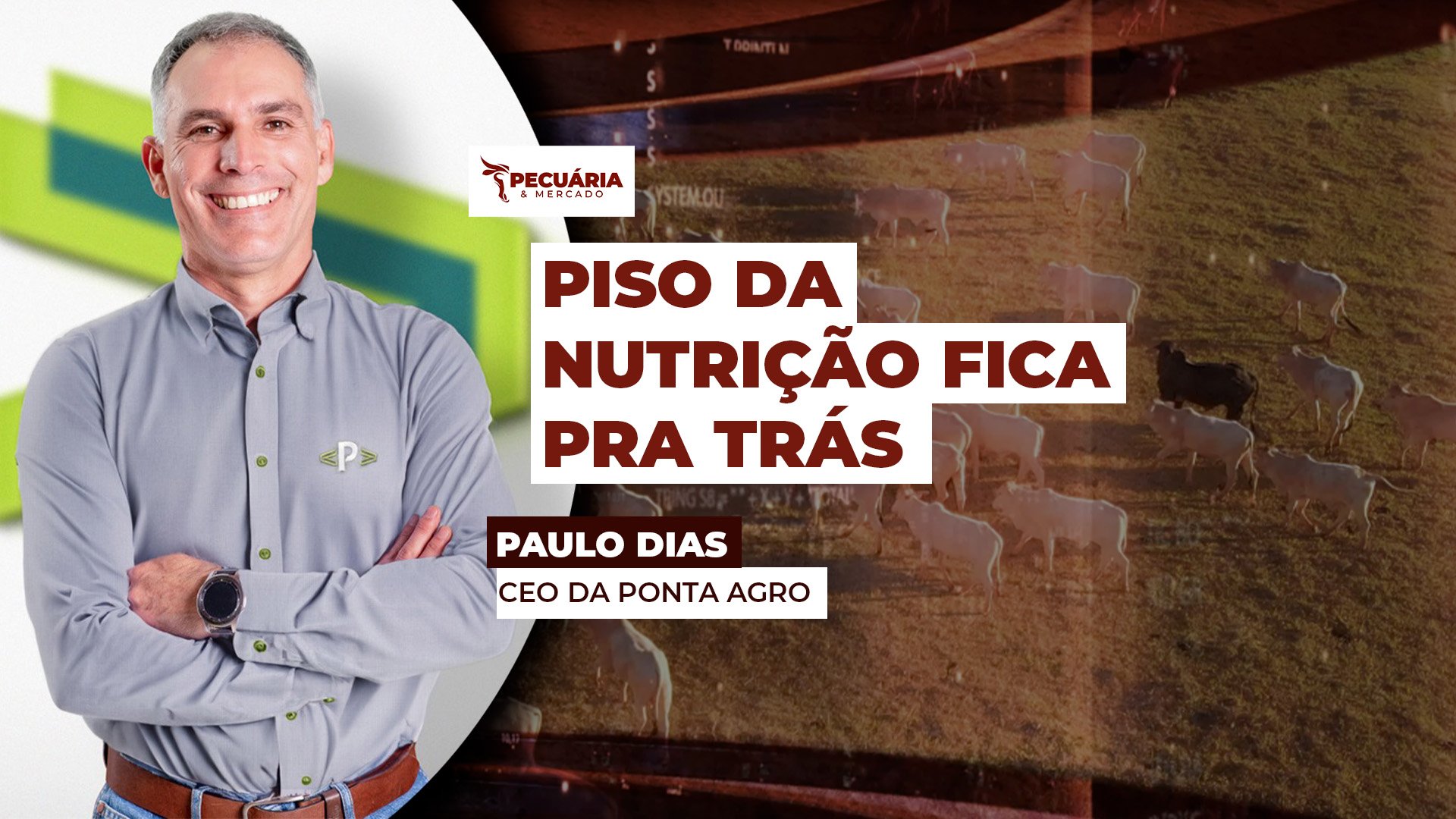 Custo da dieta no confinamento sobe antes do esperado aponta ICAP de outubro