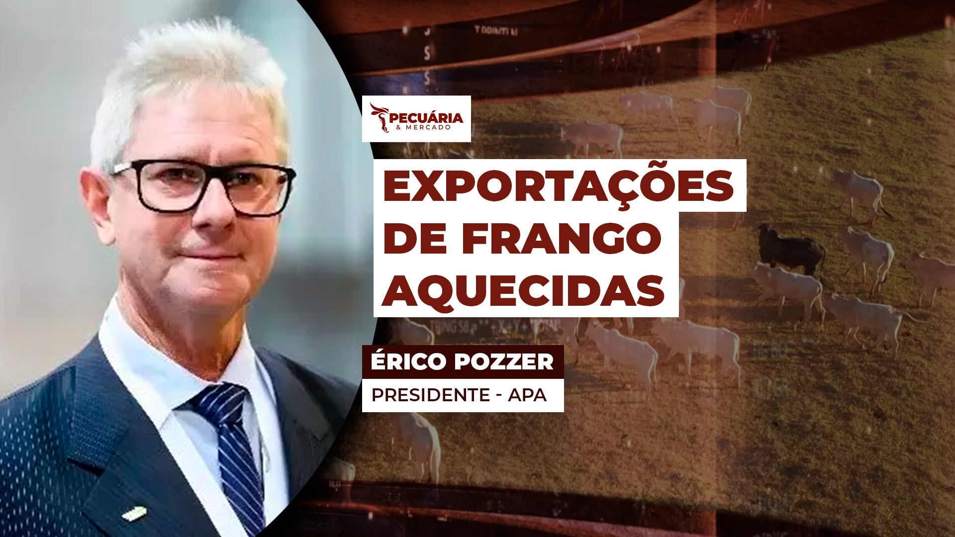 Mercado do frango inicia dezembro com boas perspectivas, mas poder de compra do produtor cai