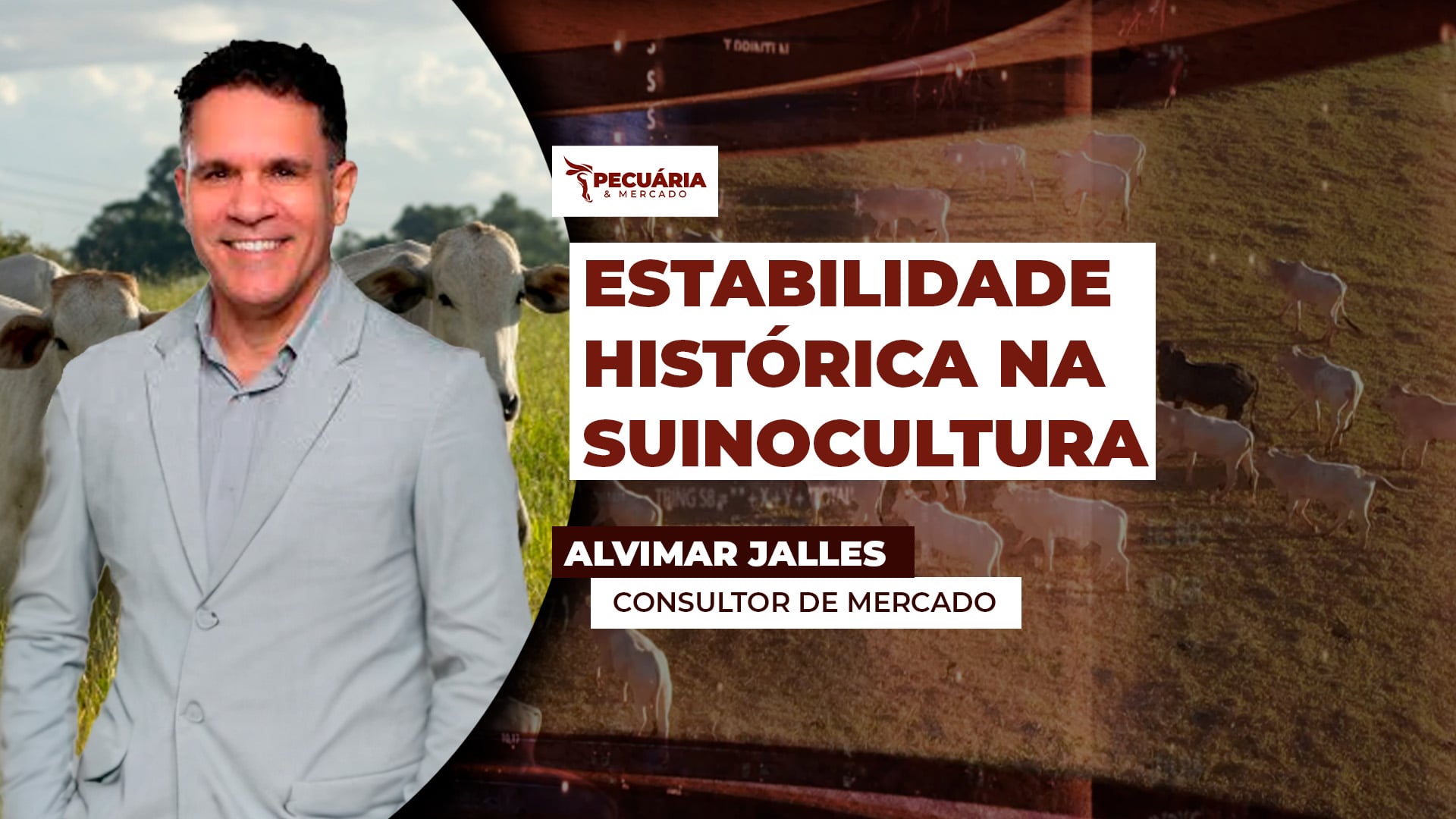 Equilíbrio entre oferta e demanda gera estabilidade histórica nos preços na suinocultura