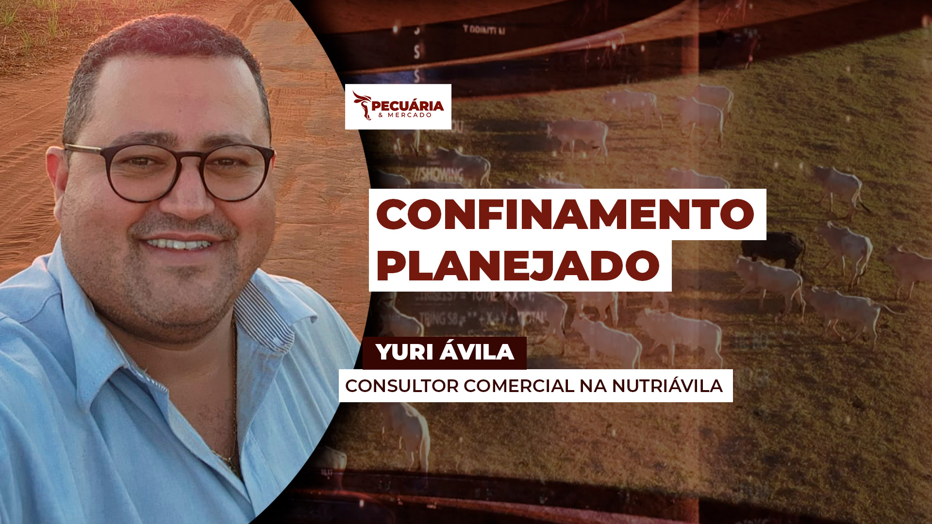 A importância do planejamento estratégico na compra de insumos que serão utilizados no confinamento