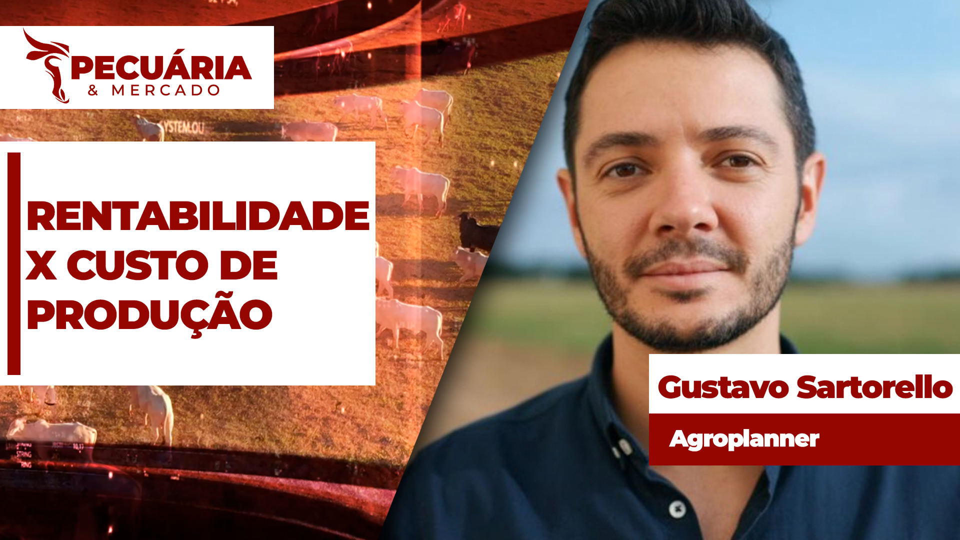 Boa compra da reposição e maior eficiência das operações no campo mudam custo do confinamento