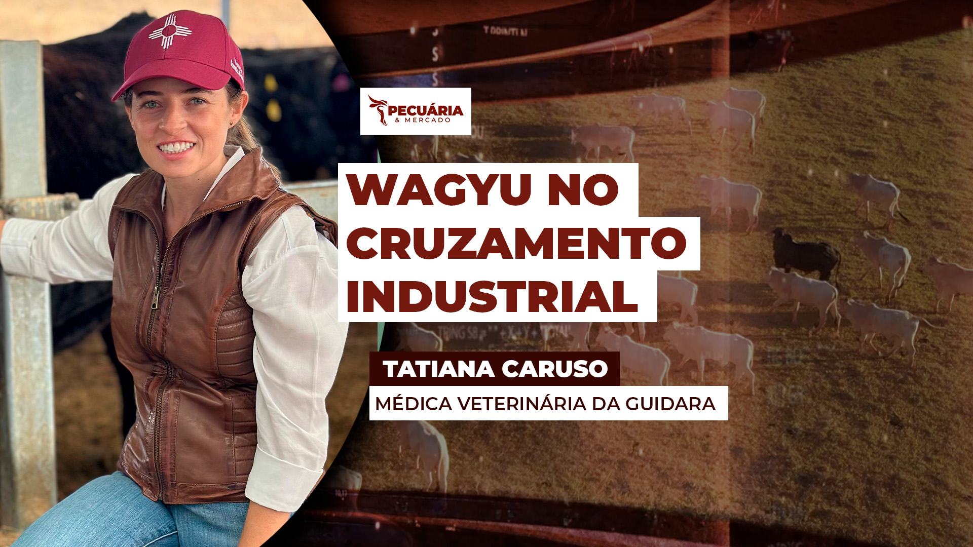 Programa de cruzamento industrial do Wagyu garante padrão e escala de produção
