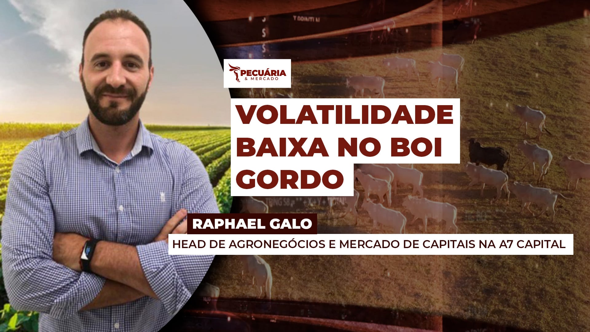 Calmaria nos contratos futuros reduz o custo de puts e calls e cria oportunidade para o pecuarista antecipar proteção de preços Calmaria nos contratos futuros reduz o custo de puts e calls e cria oportunidade para o pecuarista antecipar proteção de preços