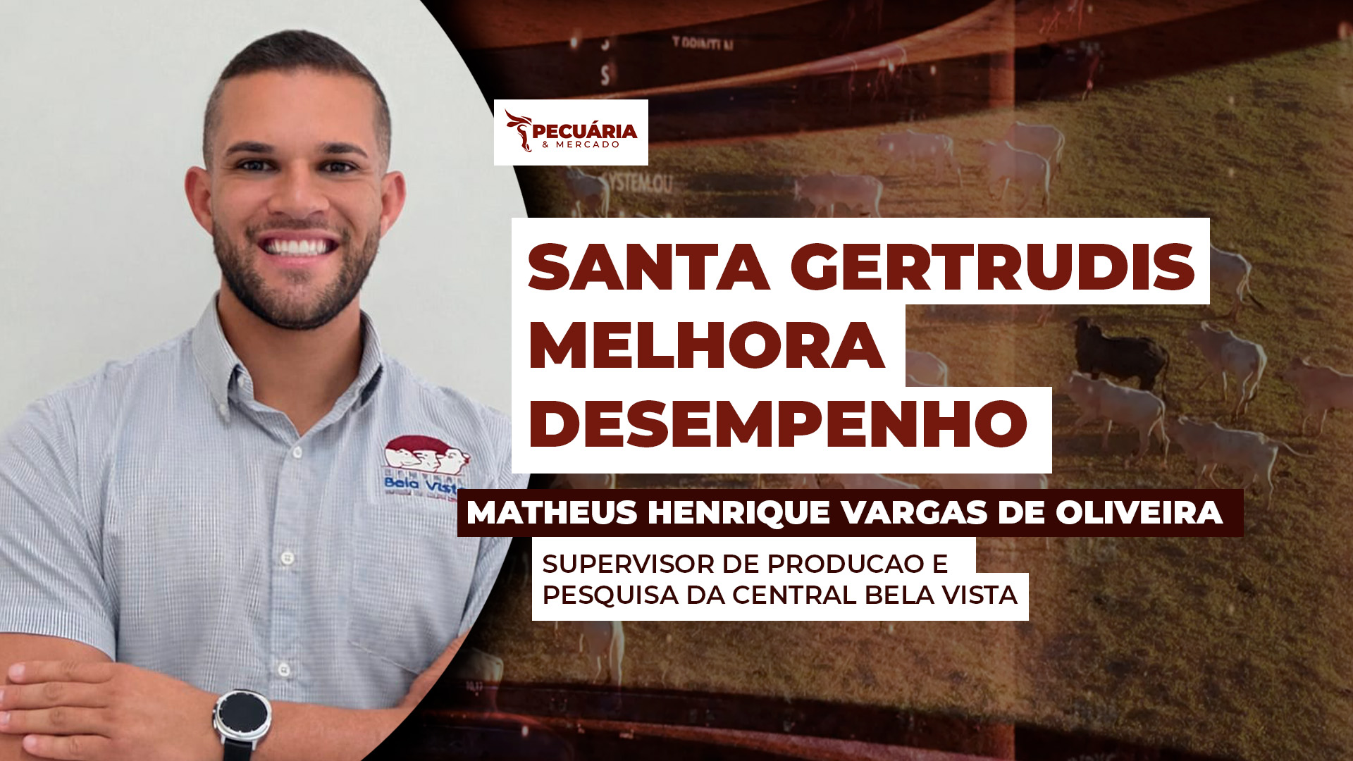 Prova mostra evolução da raça em eficiência alimentar e qualidade da carne