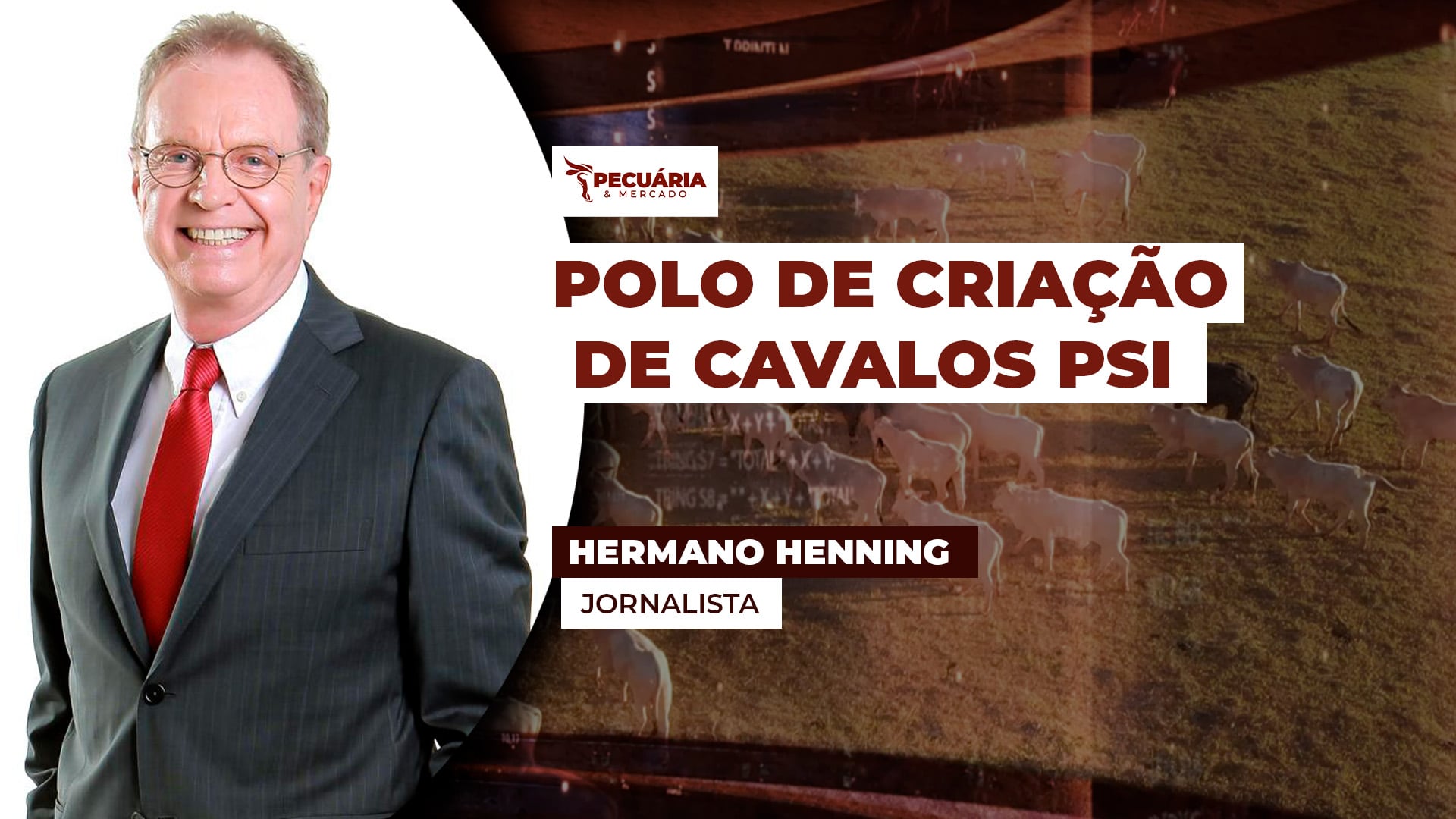 Cesário Lange (SP) se consolida como polo de criação de cavalos Puro Sangue Inglês no Brasil