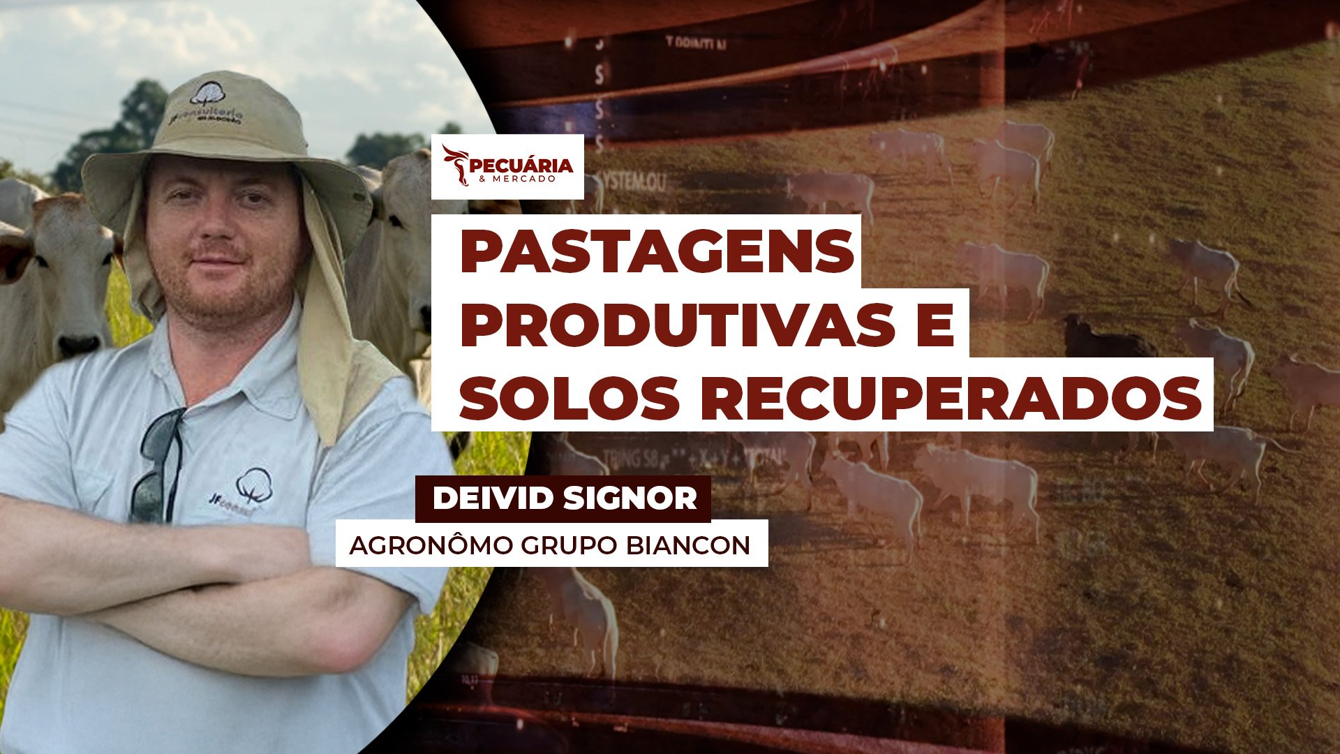 Pioneira em 2021, a propriedade recupera áreas degradadas e adapta dois tipos de ILP às diferentes condições de solo, aumentando produtividade e suste Pioneira em 2021, a propriedade recupera áreas degradadas e adapta dois tipos de ILP às diferentes condições de solo, aumentando produtividade e suste