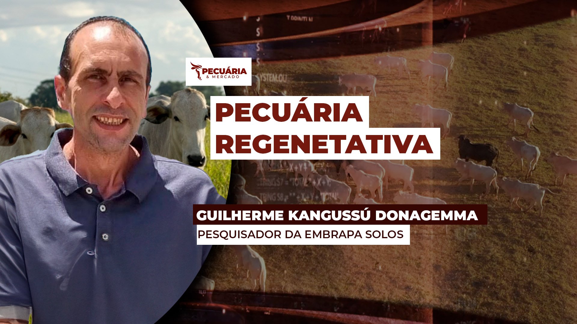 Pecuária sustentável tem que conservar solo e produzir água, explica pesquisador