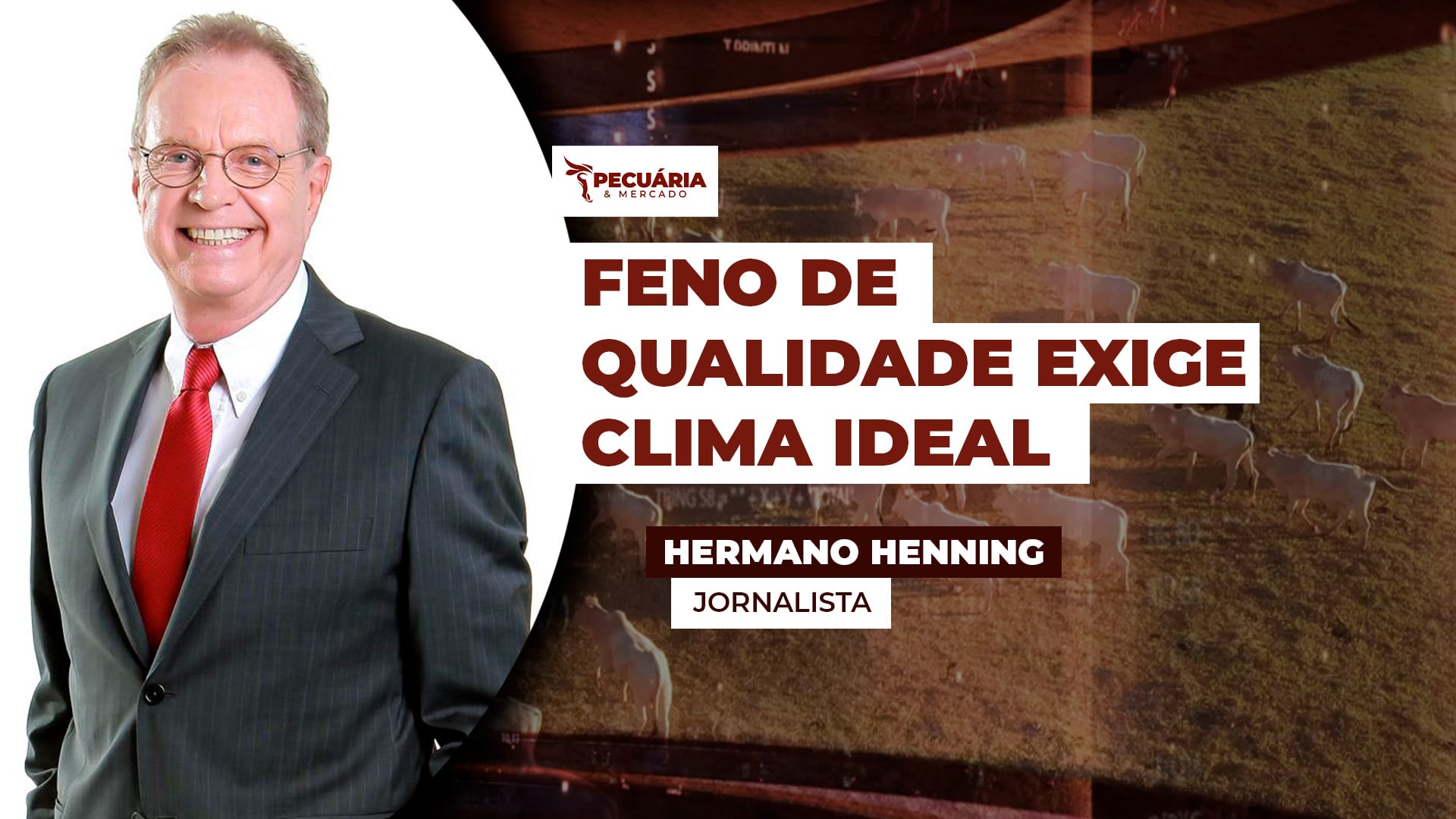 Colheita do feno exige atenção do criador às condições climáticas Colheita do feno exige atenção do criador às condições climáticas