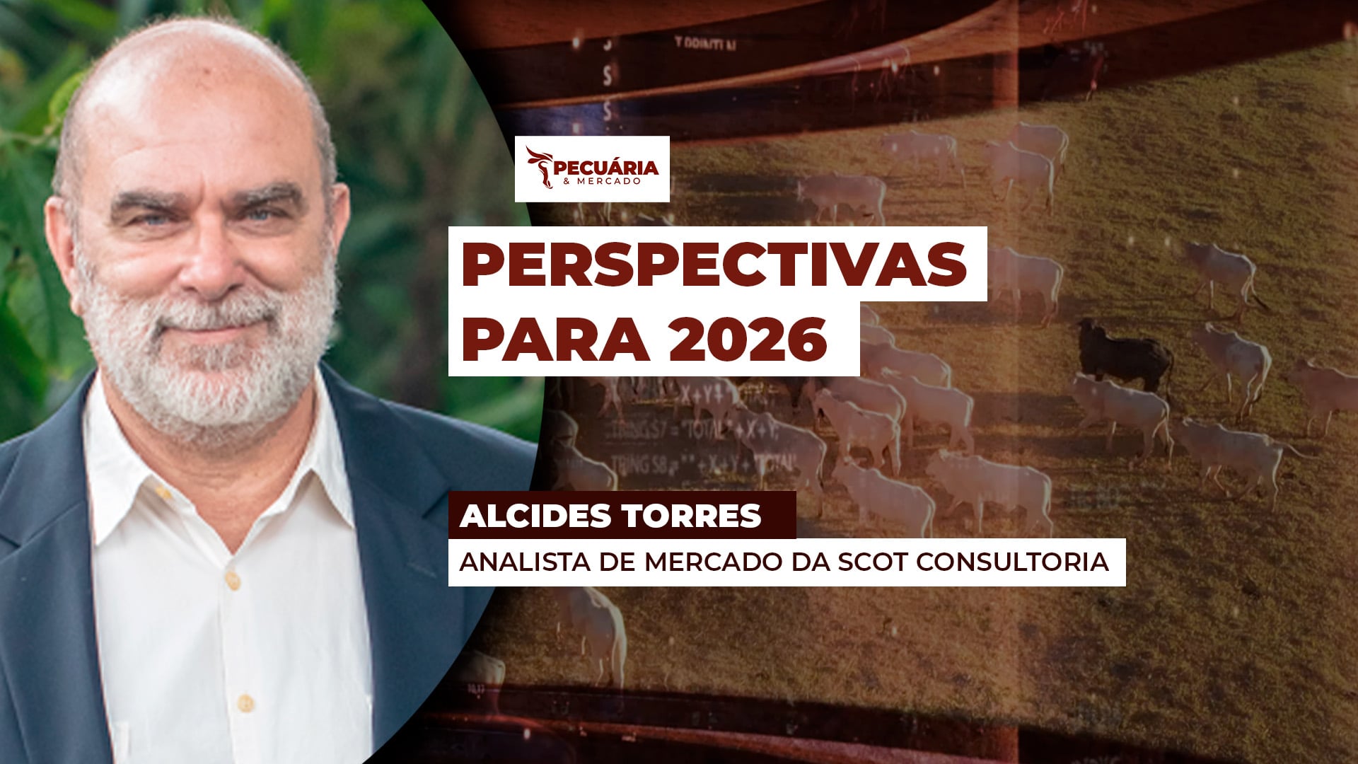 Preços da arroba devem chegar em 350,00 em 2026, mas custos de produção também devem estar elevados Preços da arroba devem chegar em 350,00 em 2026, mas custos de produção também devem estar elevados