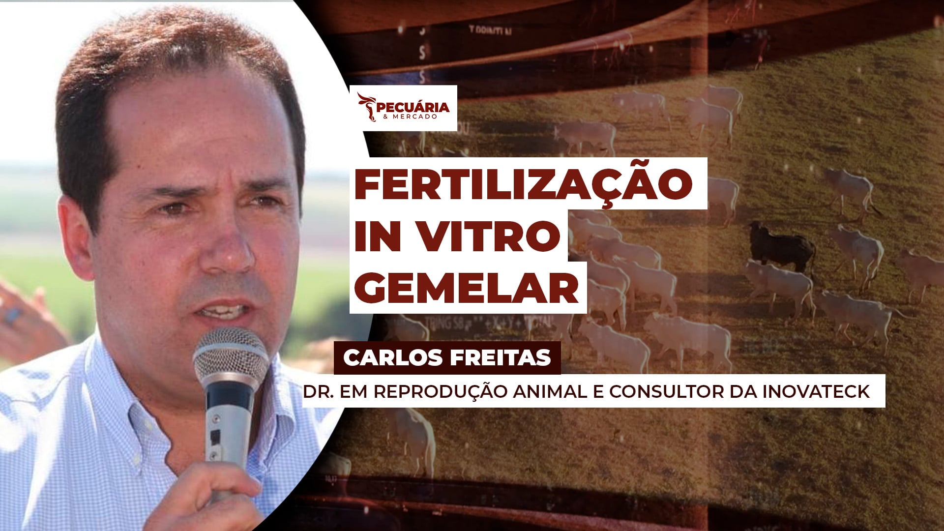 Projeto prevê 20 mil gestações gemelares para acelerar produtividade e ganho genético do rebanho do MS