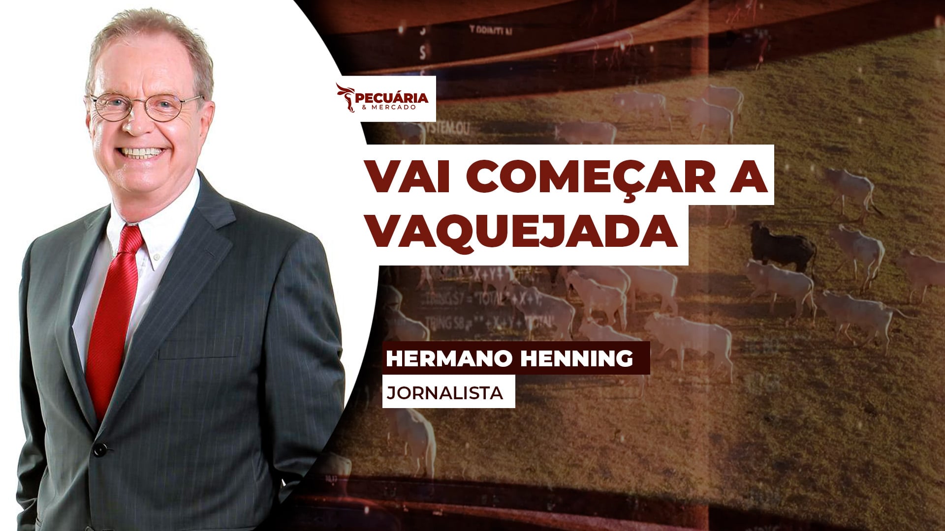 A cidade de Bezerros - PE , a vaquejada e o cavalo Roxão