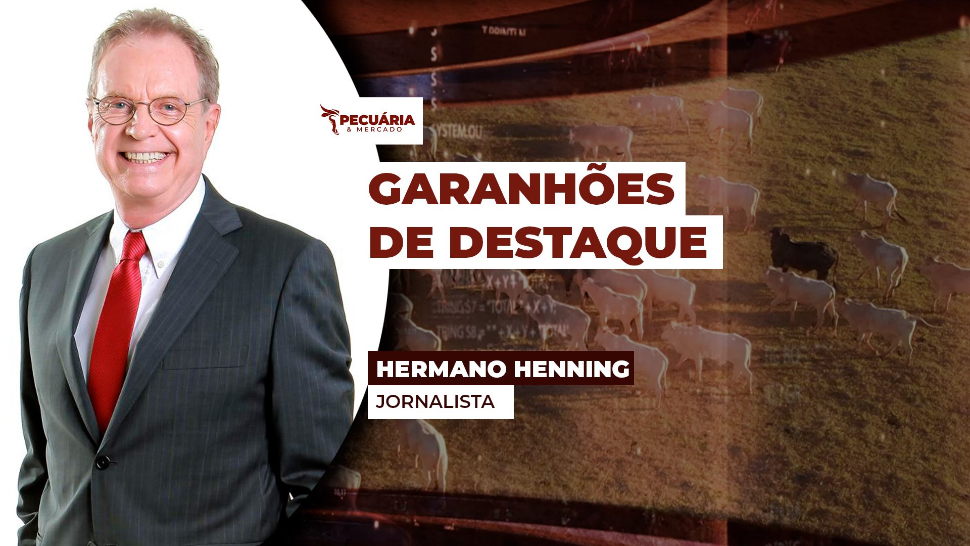 Puro Sangue Inglês e a conexão com o turfe brasileiro Puro Sangue Inglês e a conexão com o turfe brasileiro