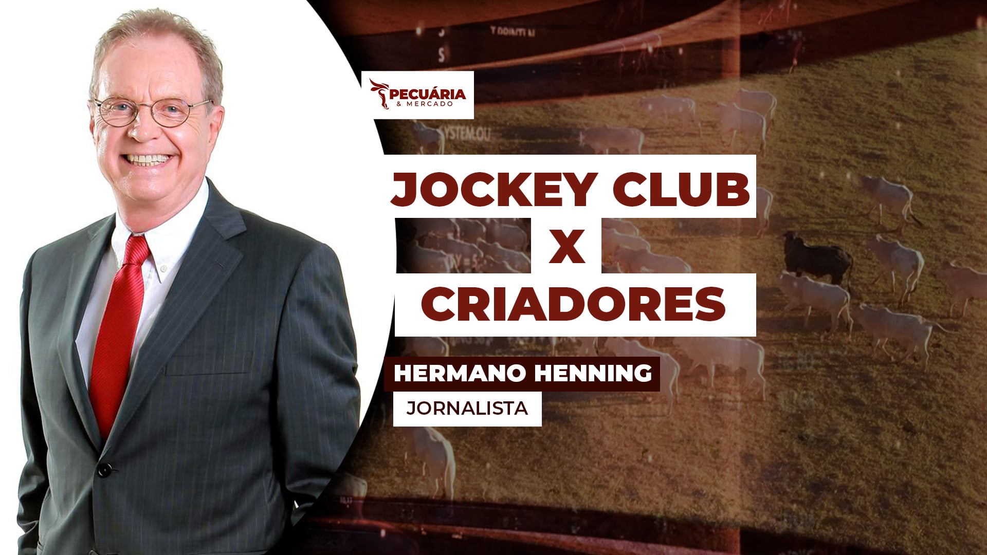 Retomada das premiações nas corridas de cavalo tende a incentivar criação de animais