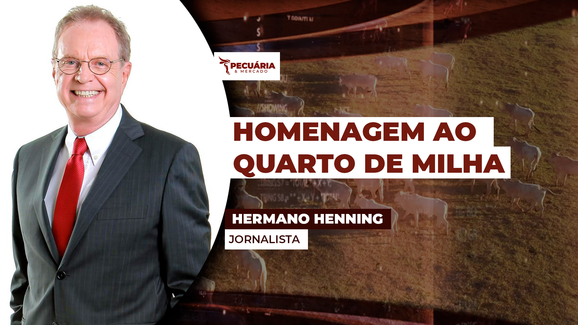 Criadores e cavalos destacados serão homenageados em prêmio da ABQM  em Campinas-SP