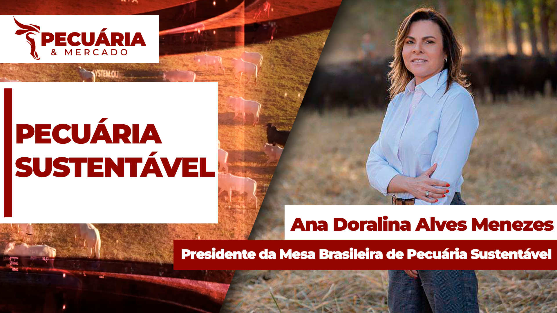 Como fazer a reinserção de pecuaristas na cadeia formal da carne bovina para fortalecer a pecuária sustentável no Brasil