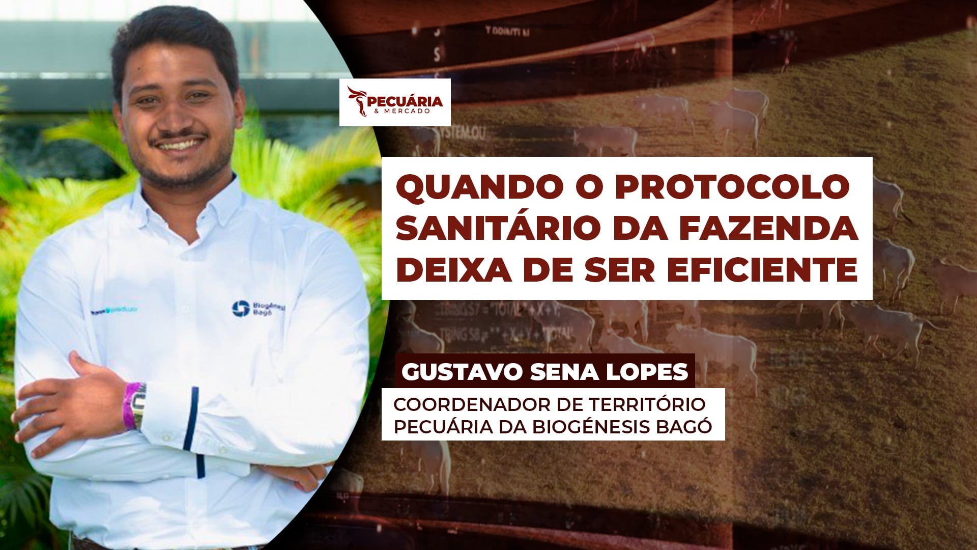 Como evitar que lotes de animais com mesmo protocolo sanitário tenham  desempenho diferente