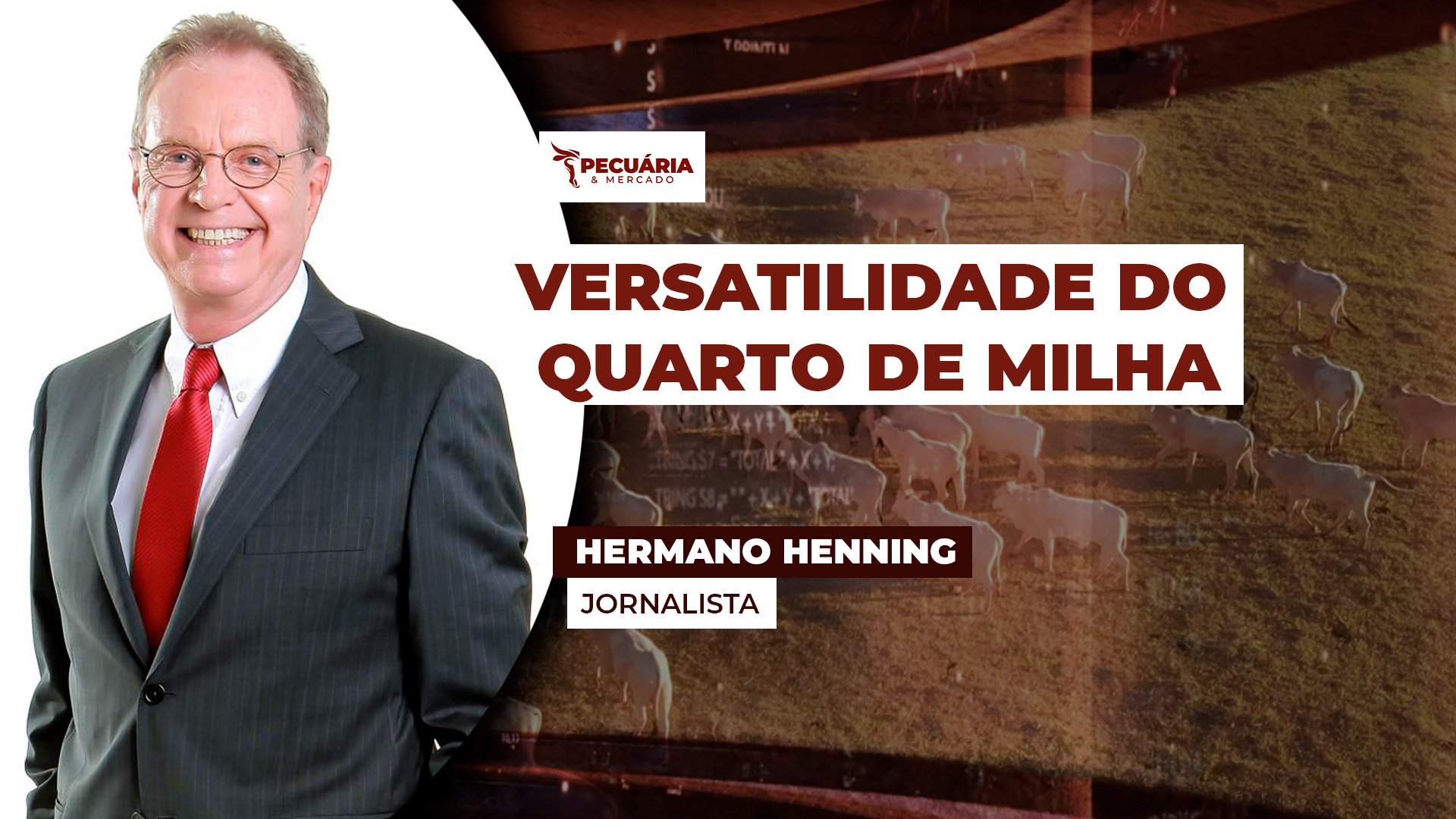 O Quarto de Milha se tornou a raça  "queridinha" do criador brasileiro  pela sua versatilidade