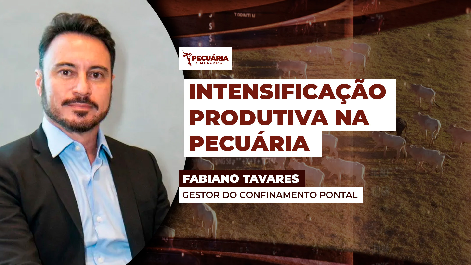 Intensificar recria e terminação é essencial para sustentar a pecuária no atual cenário econômico