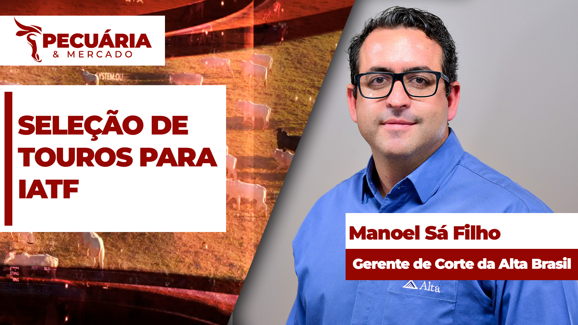 Programa da Alta identifica, com precisão, touros que apresentam as melhores taxas de concepção  em condições reais de manejo.