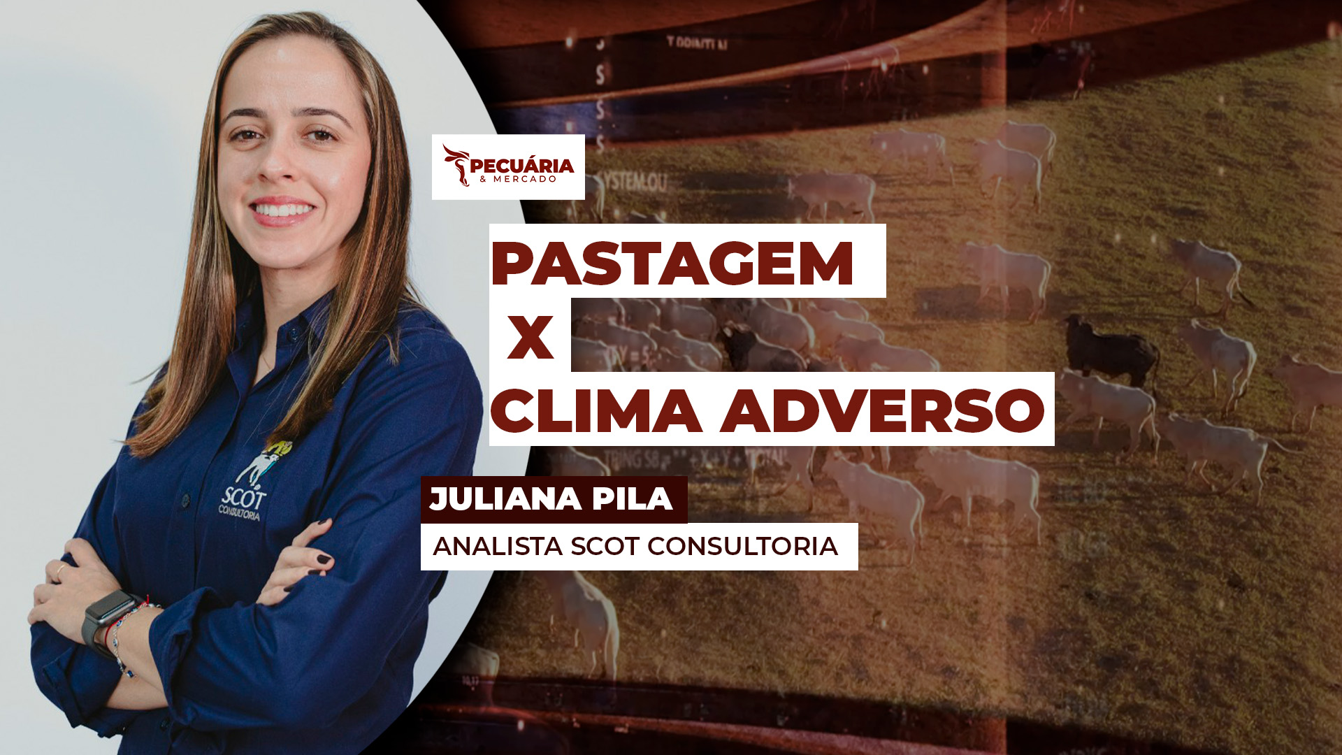 Produtor passa por momento desafiador com sequência de queda nos preços do leite Produtor passa por momento desafiador com sequência de queda nos preços do leite