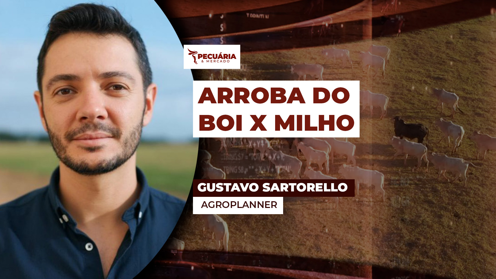 Alta recente da arroba do boi melhora relação de troca com milho  e chega a 5 por 1