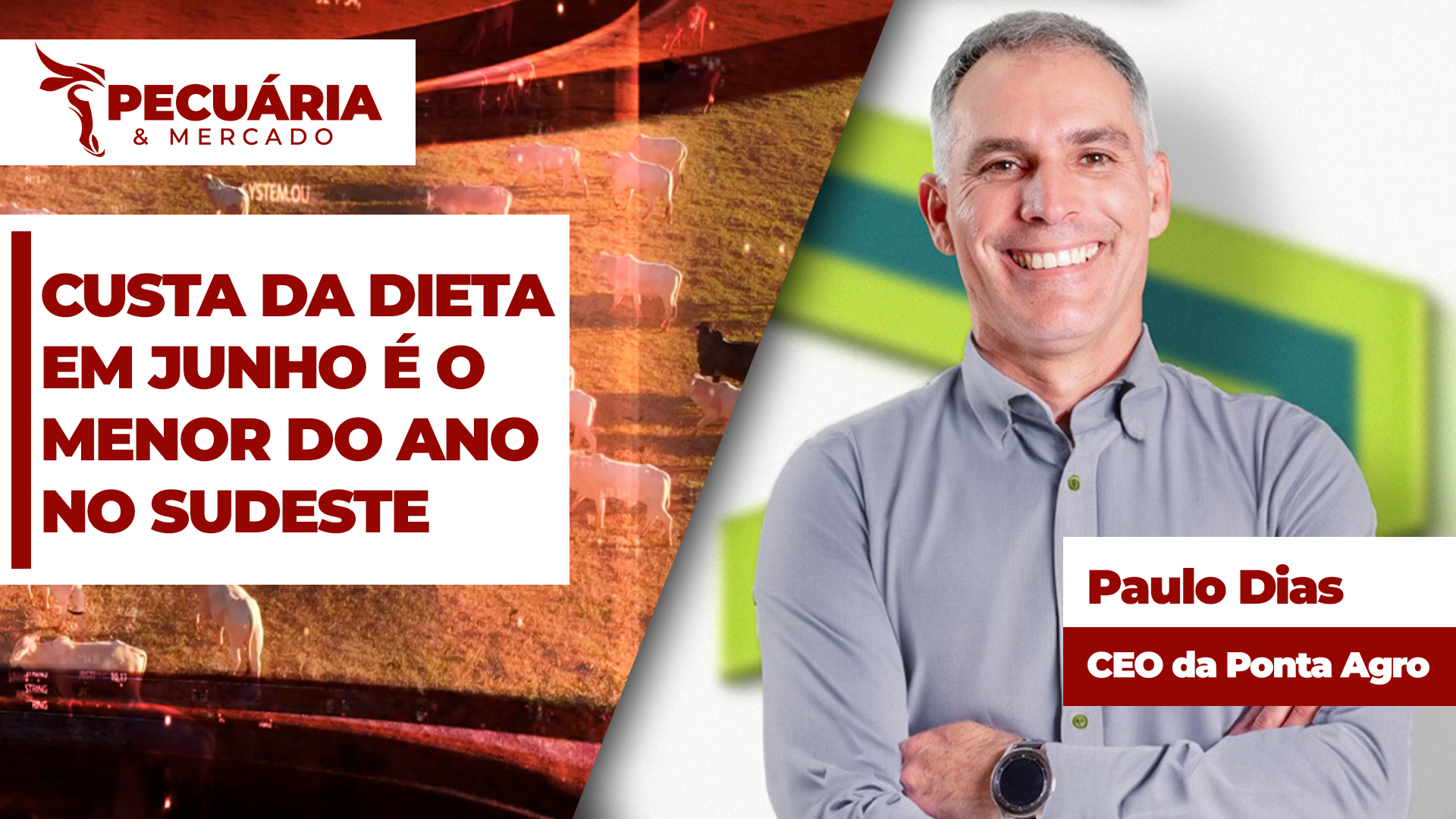 Centro- Oeste melhora estratégias na dieta e reduz em 10% custo da arroba produzida em Confinamento
