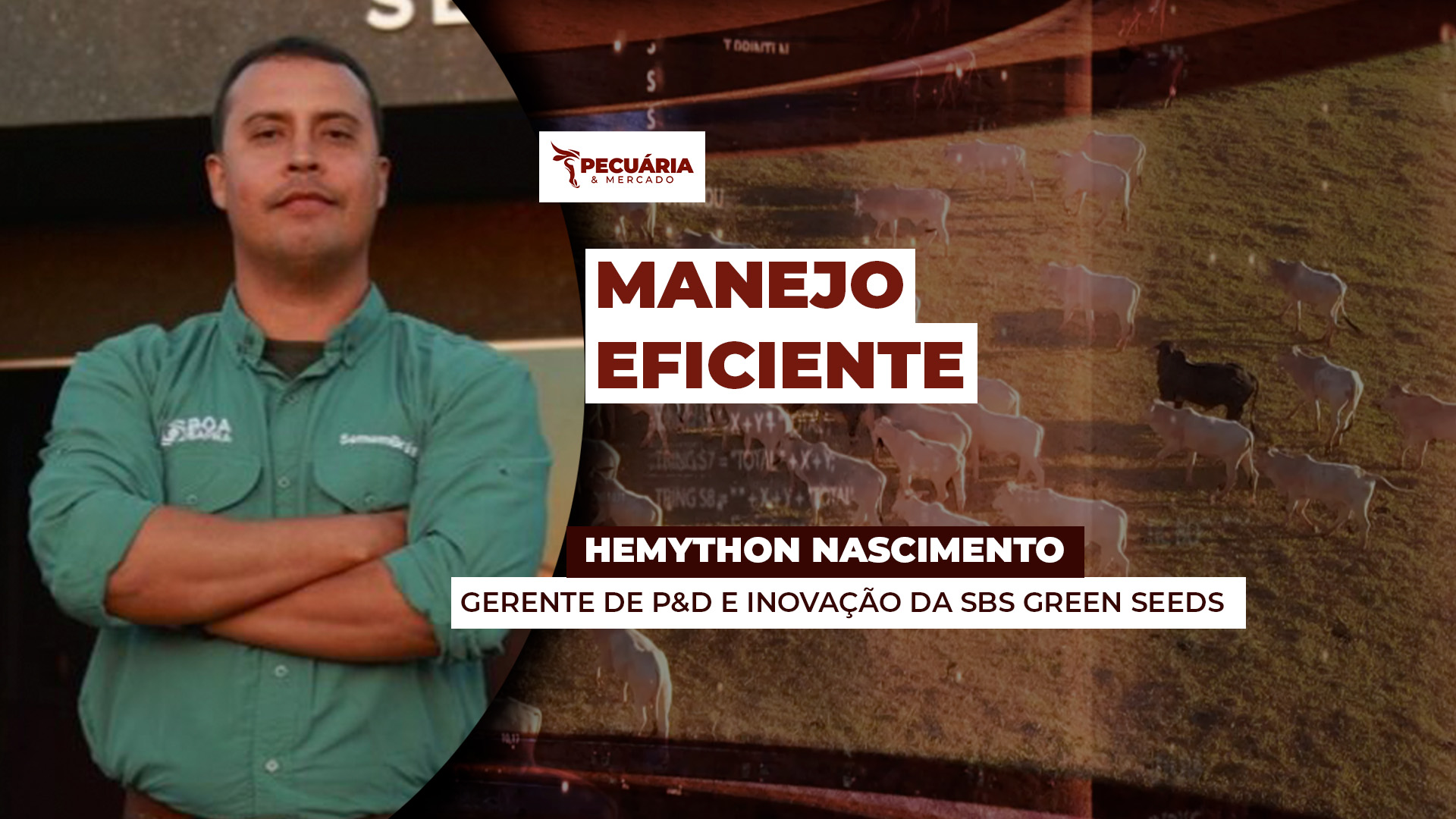 Dobradinha Milho X Capim para reestruturar solo e aprimorar nutrição dos animais em períodos de restrição
