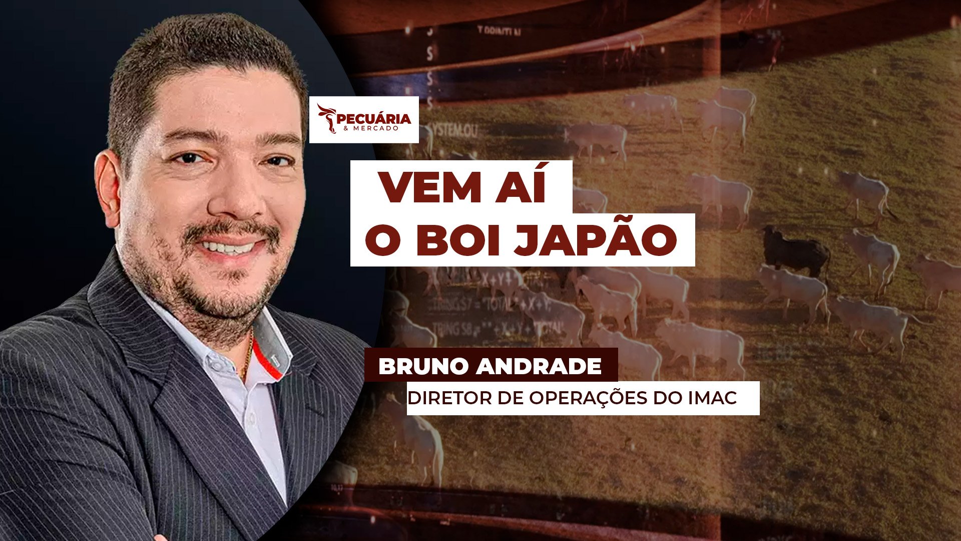 Brasil terá que estimular produção de carne de animais jovens e com marmoreio para atender demanda japonesa Brasil terá que estimular produção de carne de animais jovens e com marmoreio para atender demanda japonesa