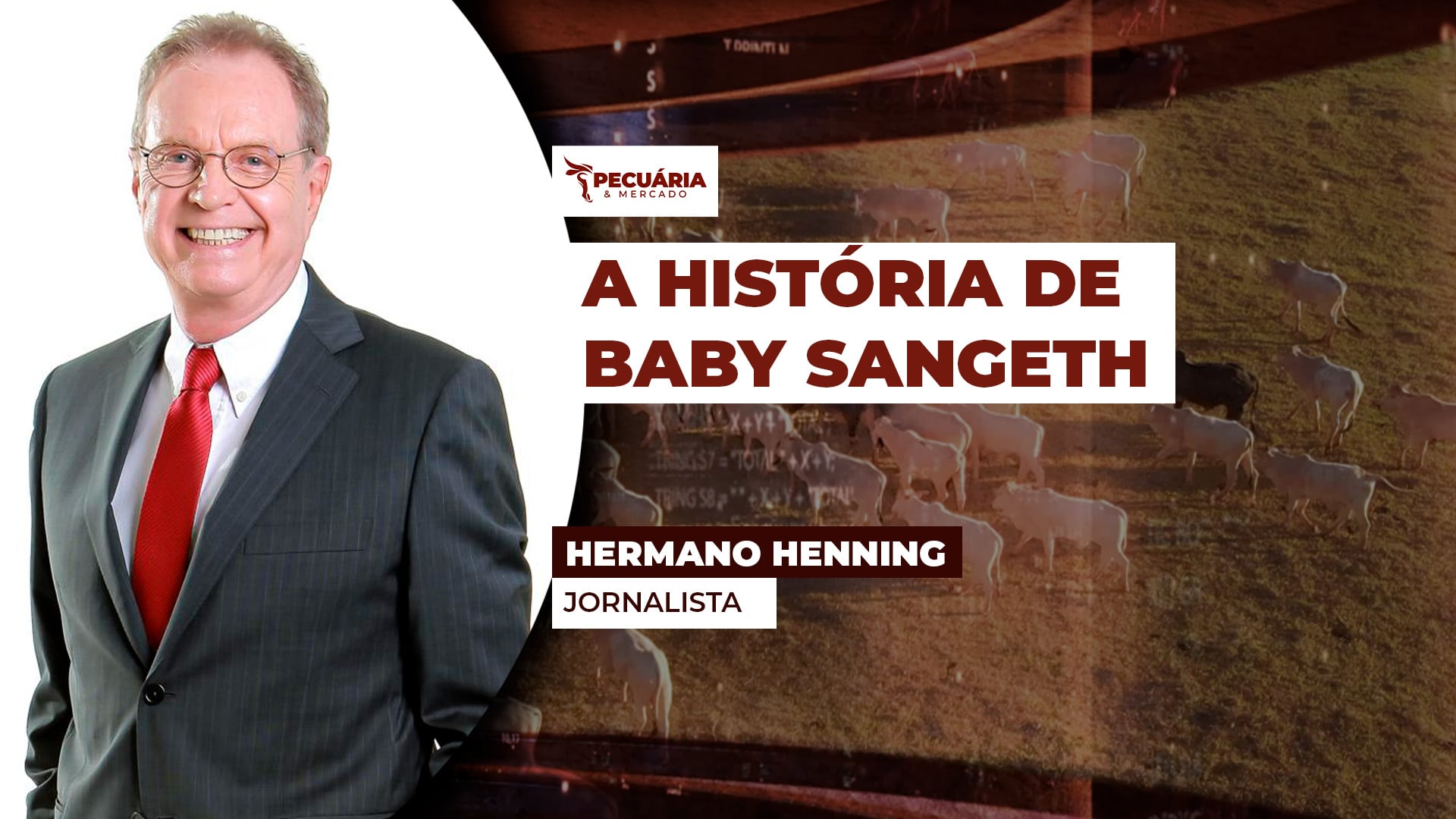 Égua Quarto de Milha completa 25 anos e precisa passar por prova de vida junto à Associação da Raça