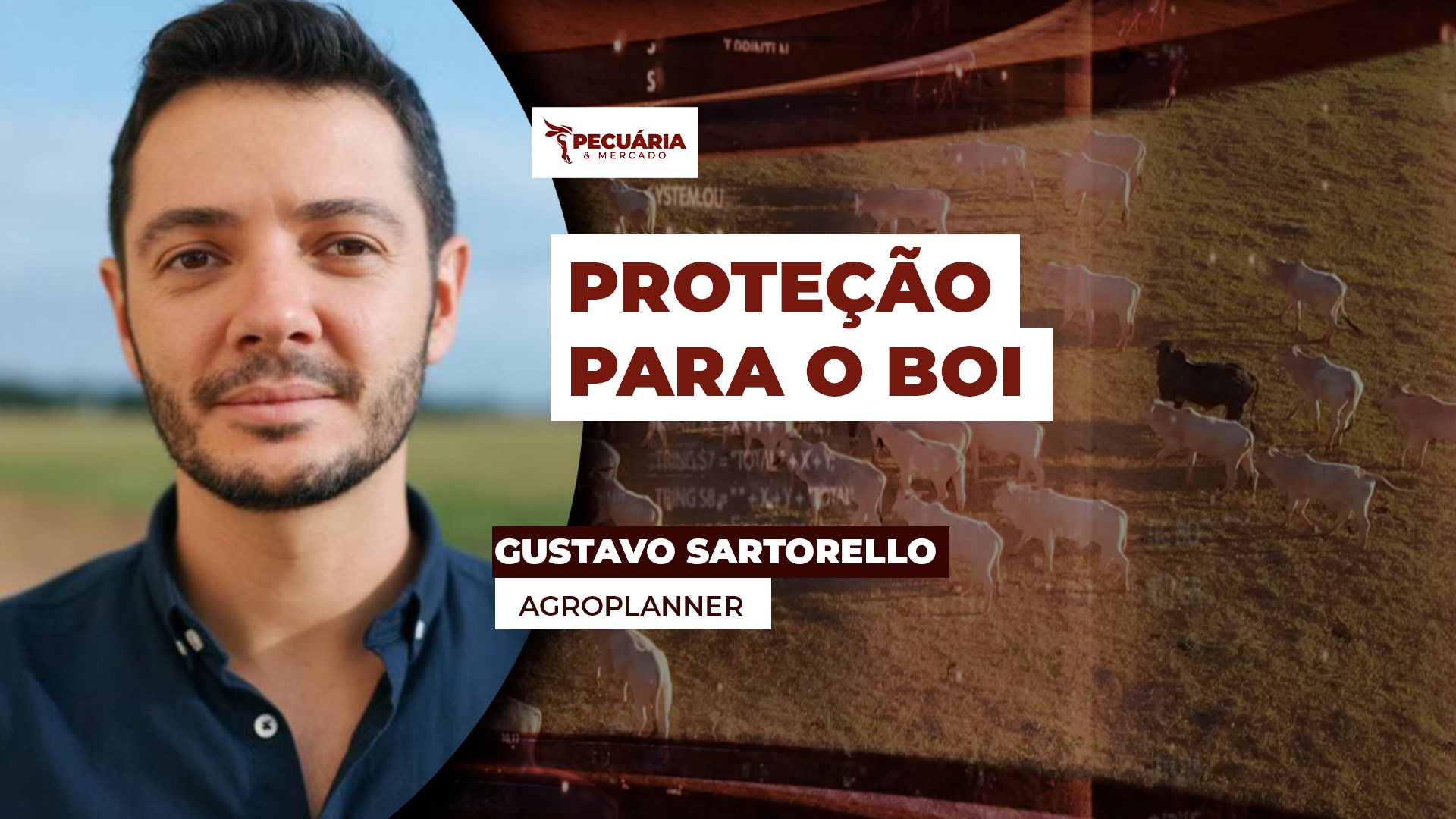 As ferramentas de proteção de preços para arroba do boi e a importância de se conhecer os custos de produção