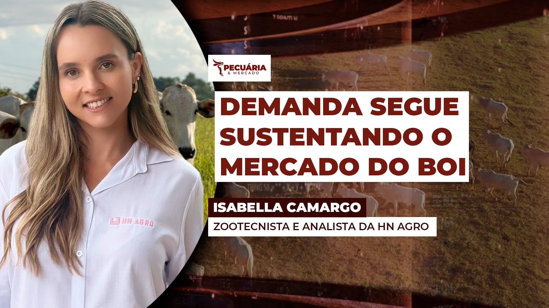 Indústrias testam preços menores para a arroba, enquanto pecuaristas seguram vendas à espera de preços melhores