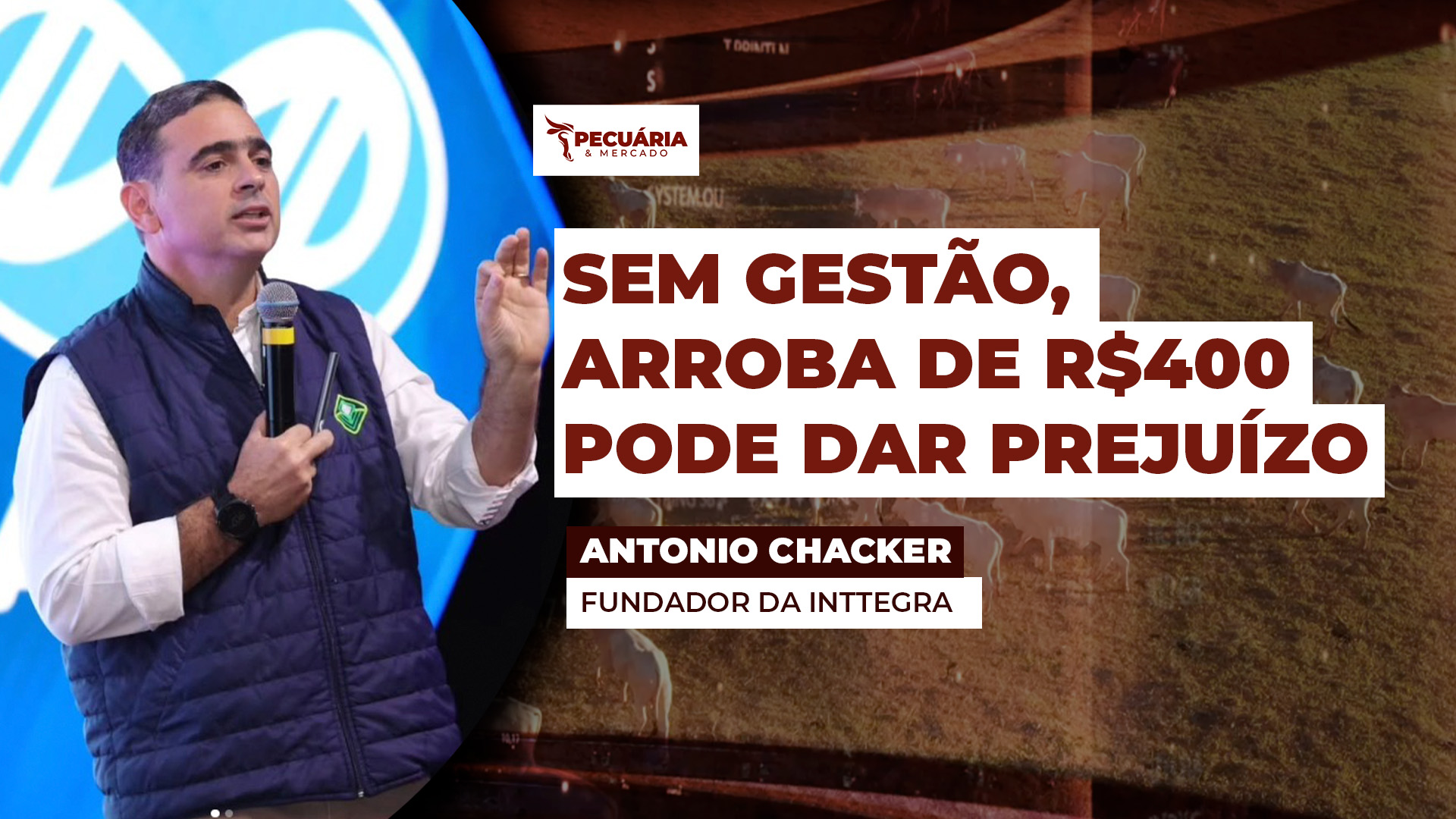 Fazenda pecuária eficiente tem que gerar resultado de 4% a 9% ao ano, alerta consultor