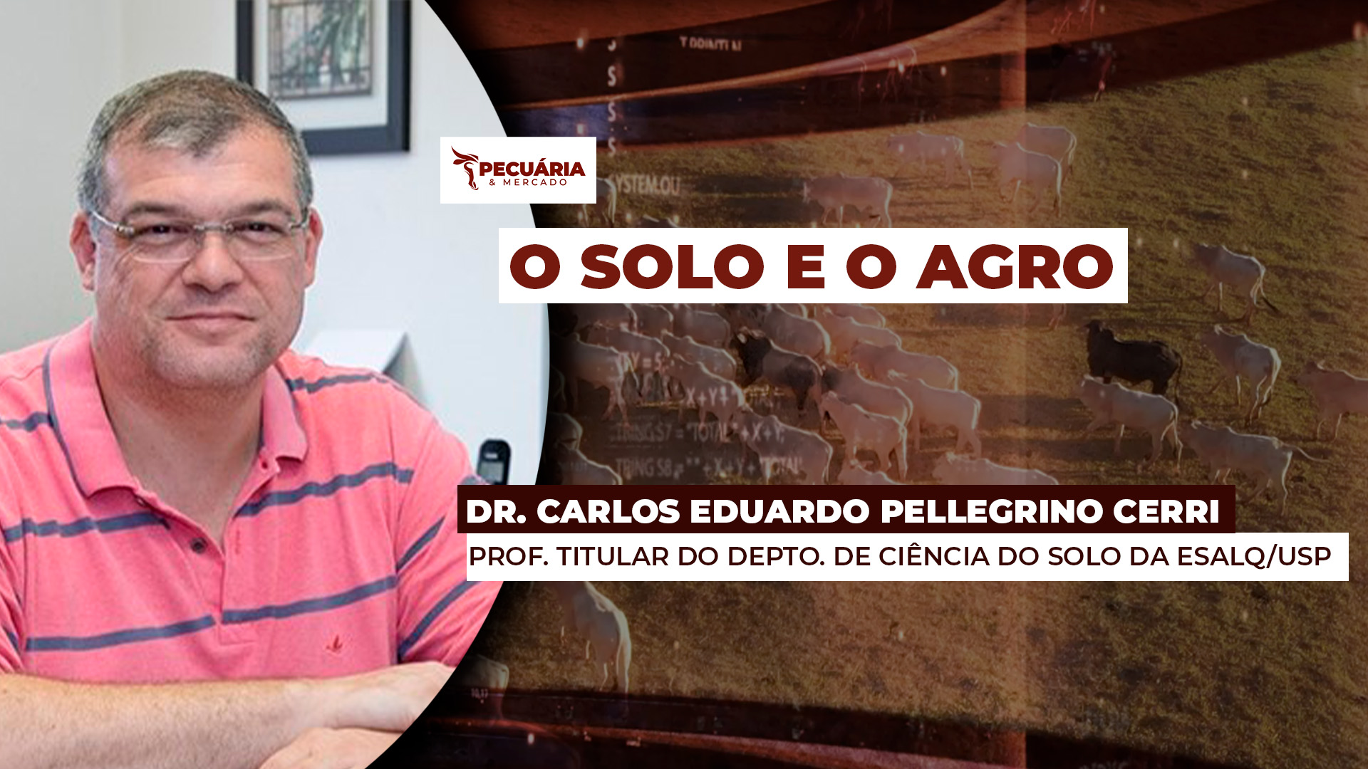 Solos degradados emitem carbono e precisam ser recuperados, alerta professor