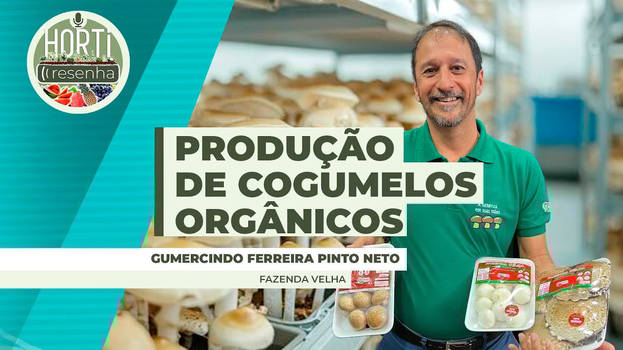 HORTI RESENHA #119 - Produção de cogumelos orgânicos