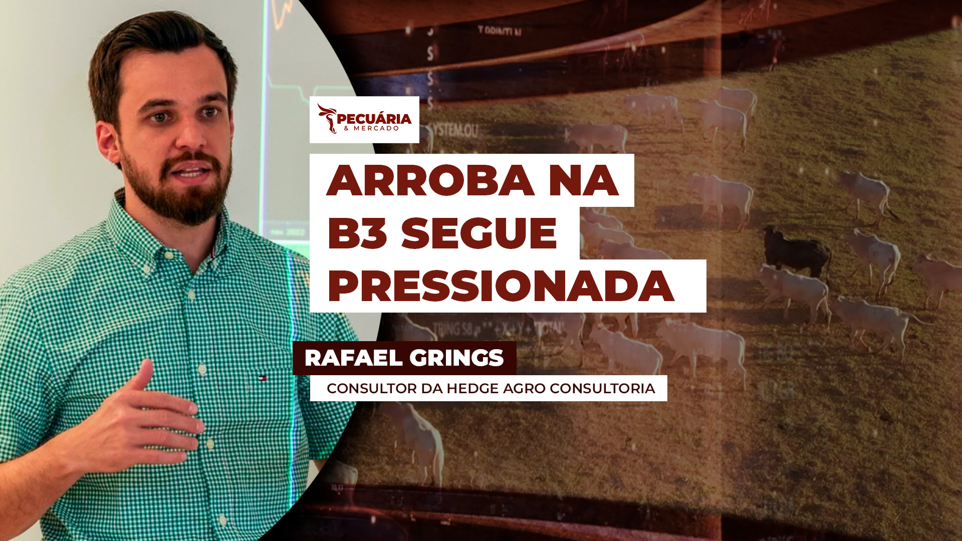 Movimento intenso de queda da arroba na B3 deve continuar nas próximas semanas