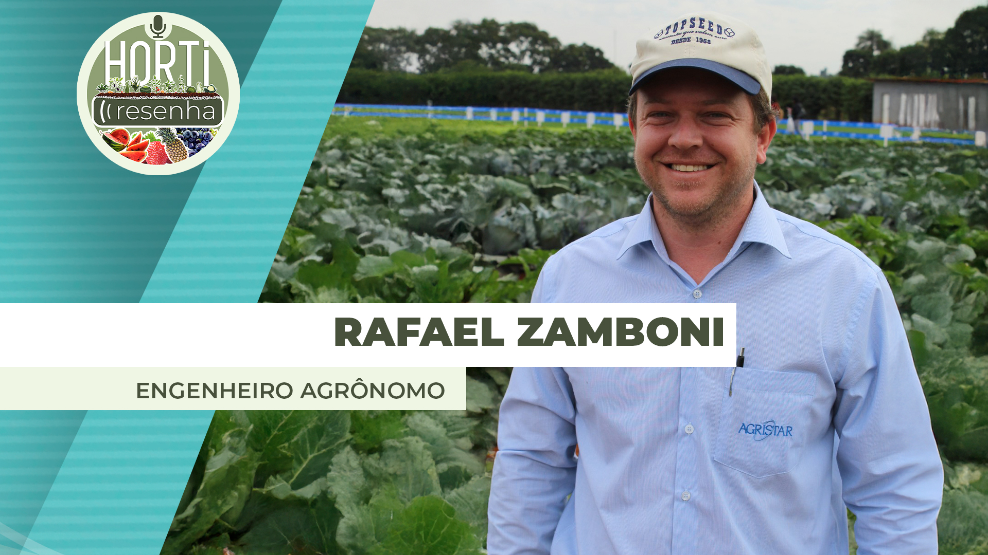 Produtores de melancia se adaptam para atender necessidades dos consumidores