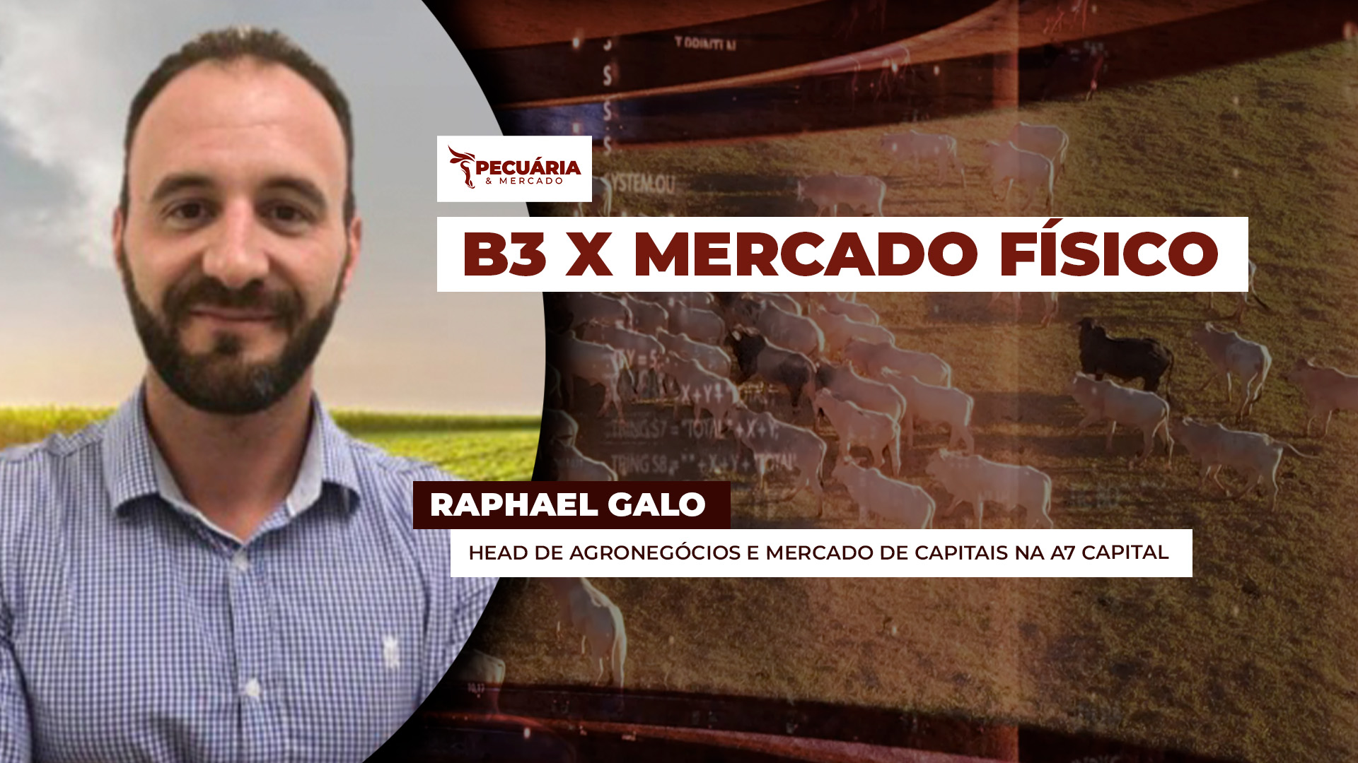uturos do boi na B3 se descolam do mercado físico e apontam para quedas fortes na arroba nos próximos meses
