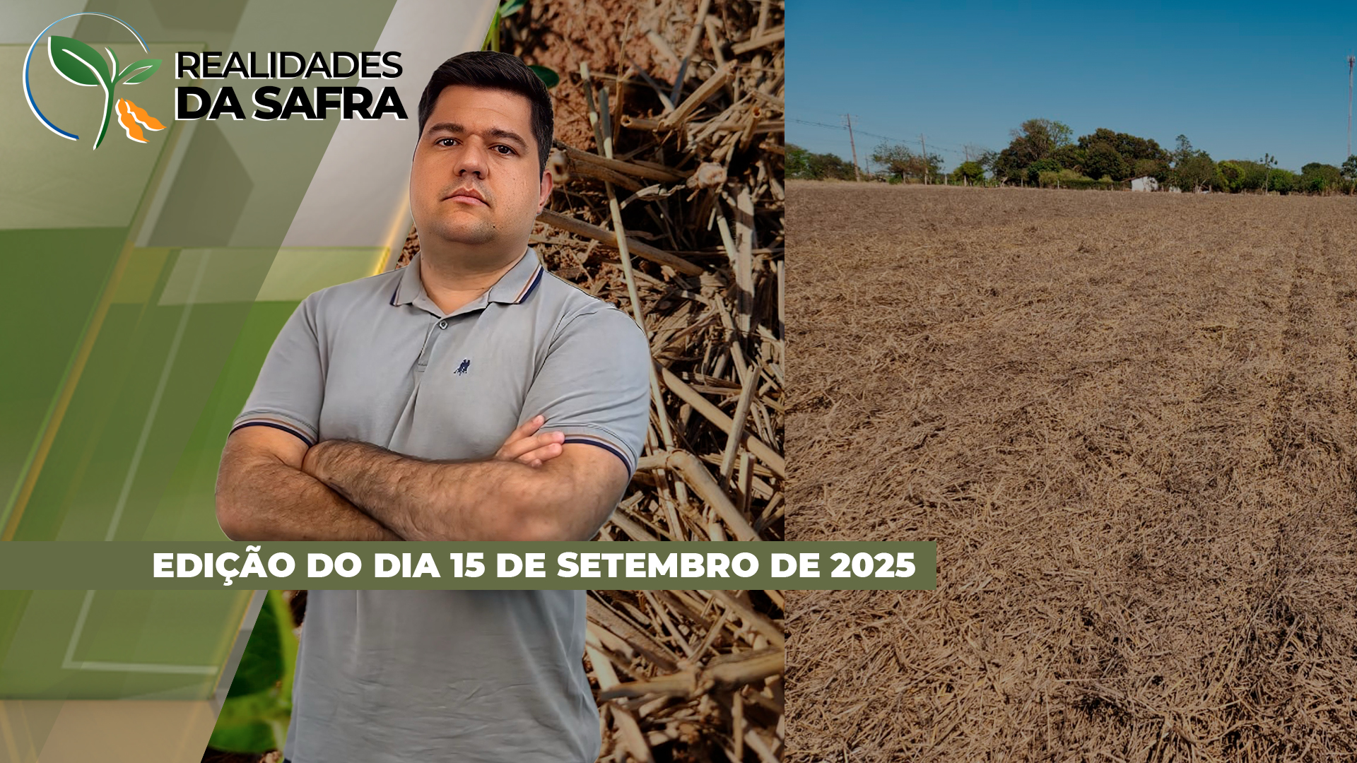 Plantio da soja pode começar ainda em setembro caso chuvas se confirmem em Primavera do Leste/MT