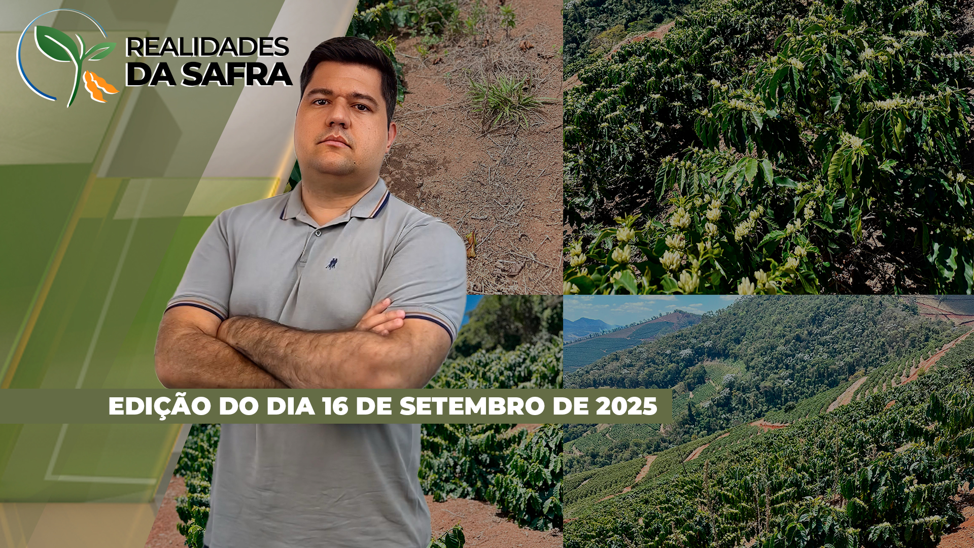Plantio da soja já começou pontualmente em Tapurah/MT e chega na metade em Palotina/PR