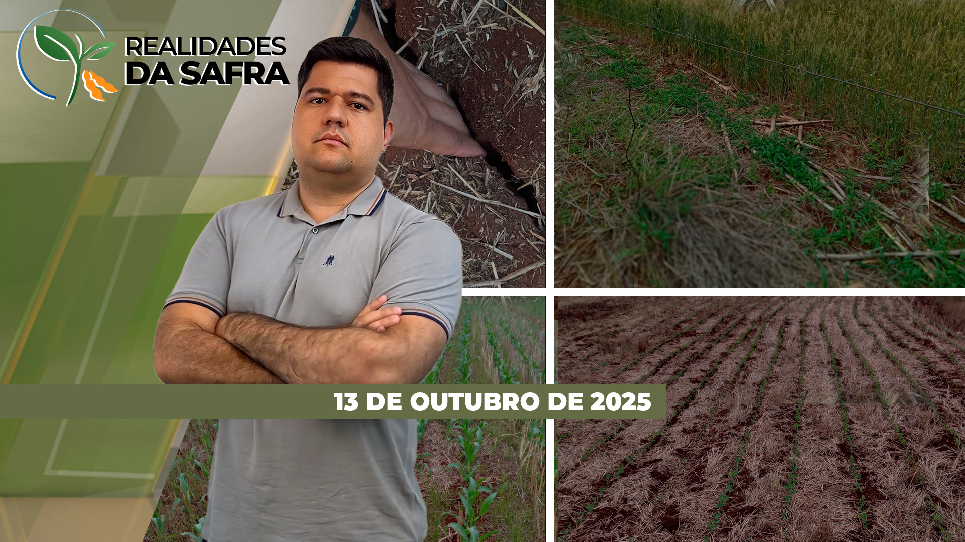 Tocantins inicia plantio da soja que já passa de 12,8% no Brasil e avança rápido no Mato Grosso
