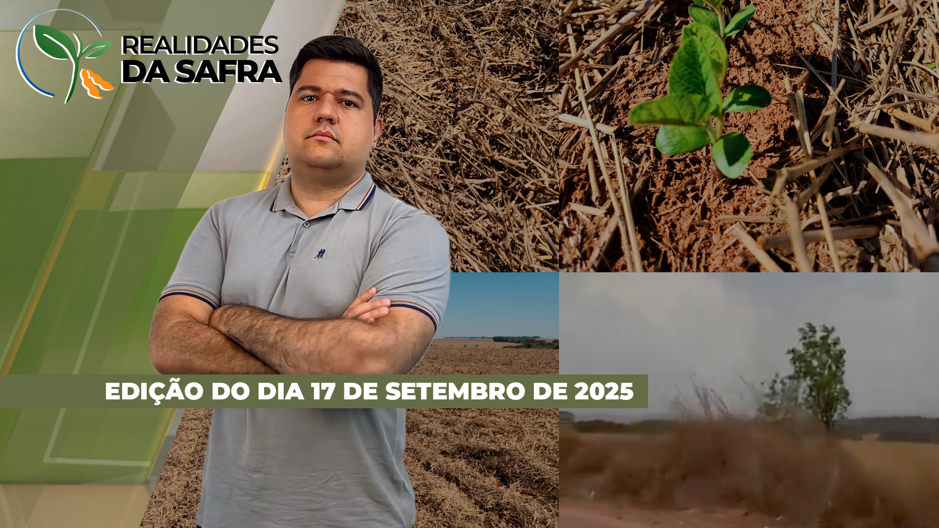 Sorriso/MT começa plantio da soja e região da Sealba colhe boa safra de milho