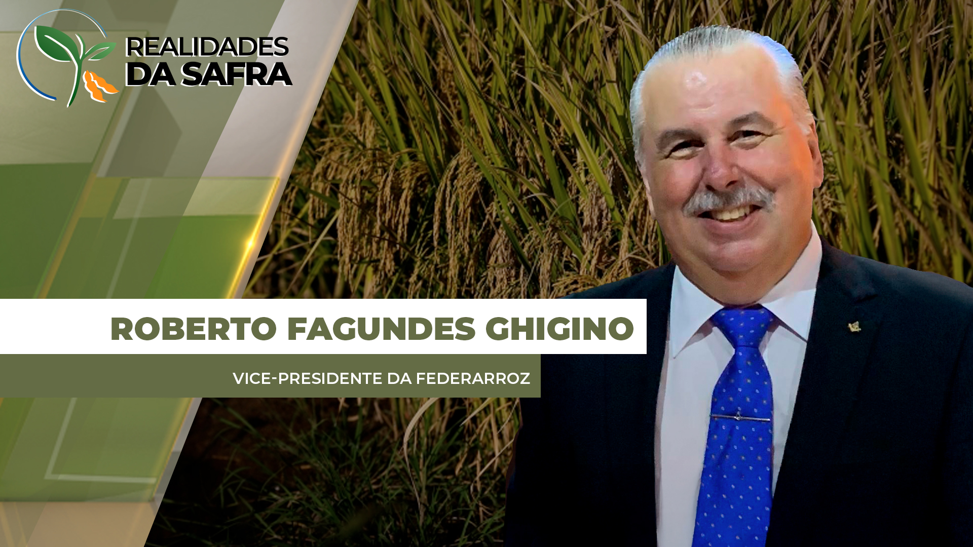 Safra de arroz começa com custos elevados, preços despencando e falta de liquidez