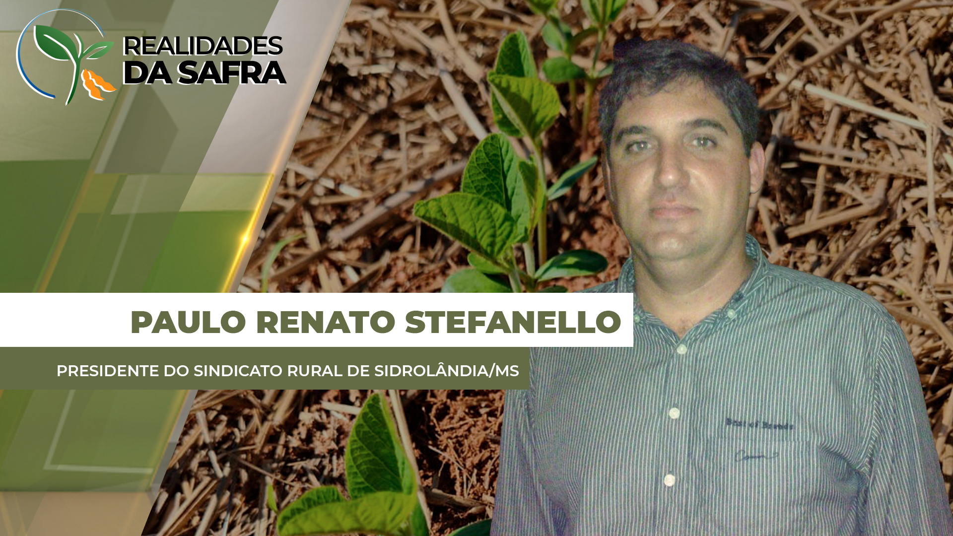 Sidrolândia/MS espera iniciar plantio da soja no dia 1º de outubro
