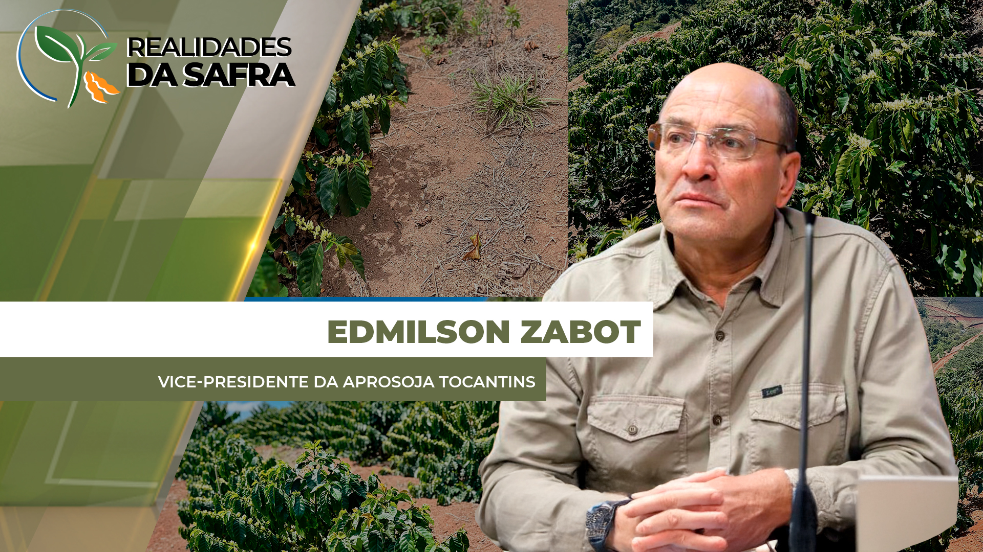 Palotina/PR já plantou metade da área de soja na safra 25/26