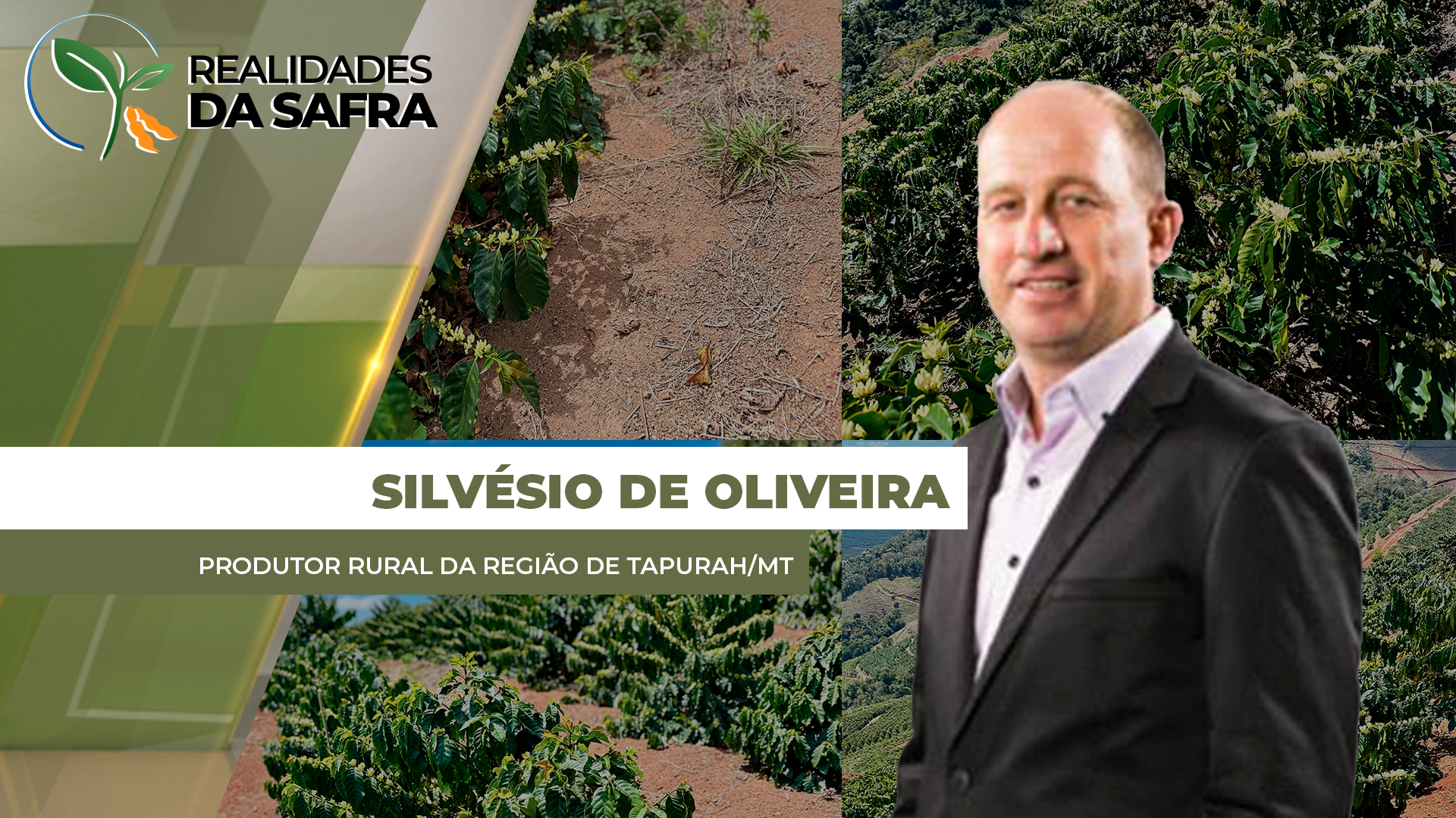 Plantio da soja já começou em Tapurah/MT, mas ainda de maneira pontual