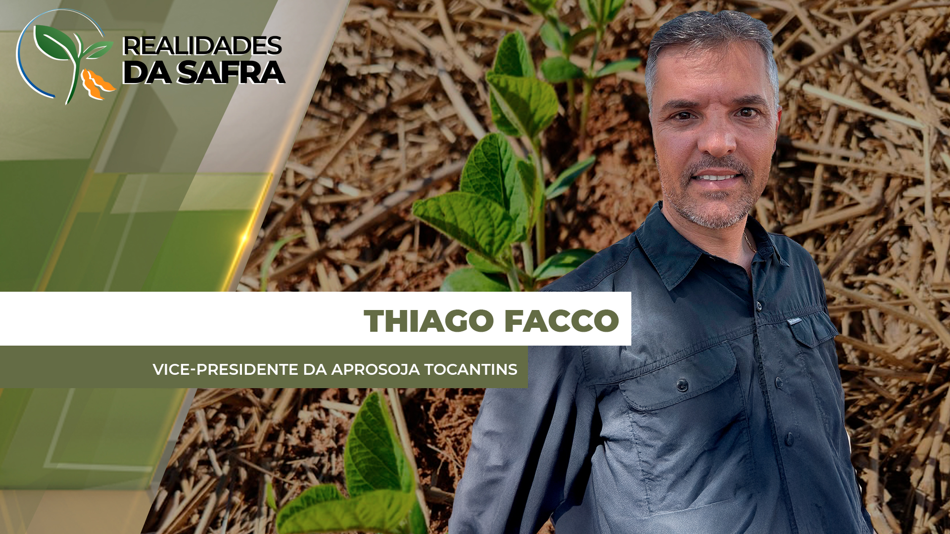 Plantio da soja deve começar em meados de outubro em Tocantins com pequeno aumento de área