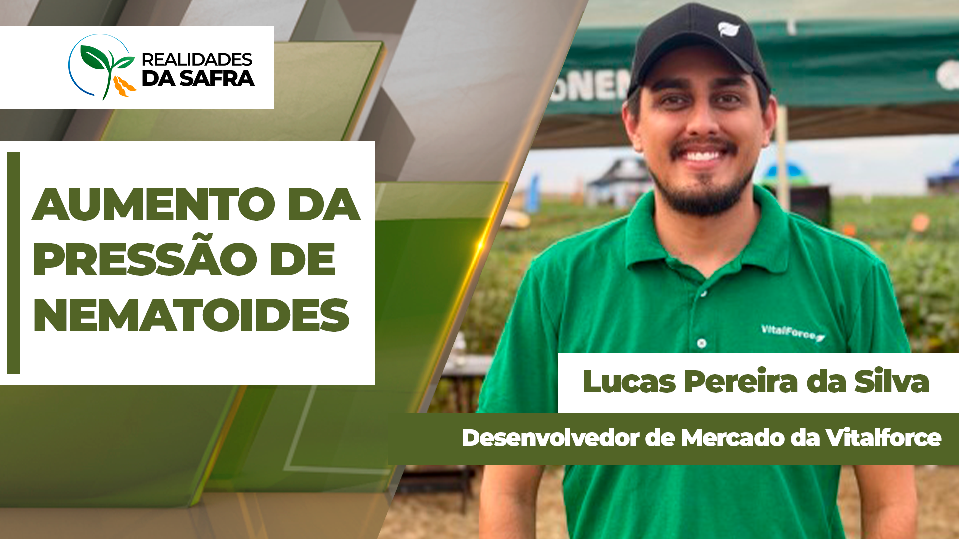 Pesquisadores alertam para aumento da pressão de nematoides nas lavouras do Mato Grosso do Sul